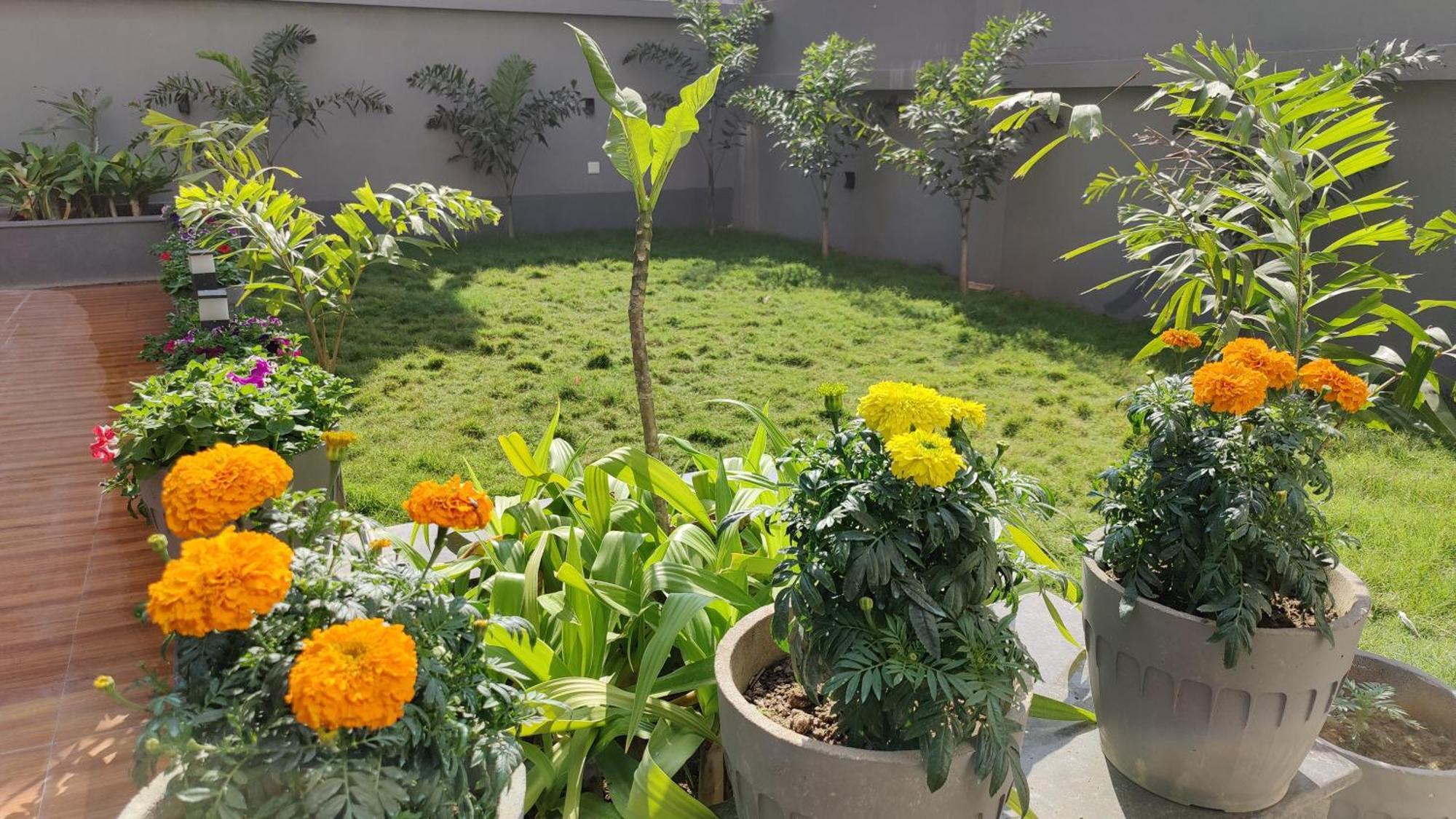 Hotel Ridley International Digha  Buitenkant foto